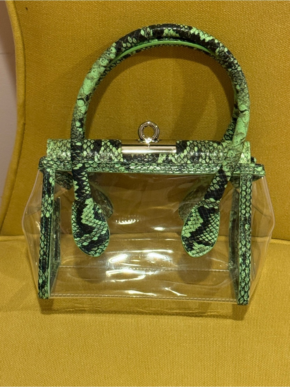 Gu_de Transparent Top Handle Bag with Green Snake-Embossed Trim